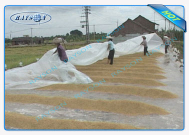 Anti UV PP Spunbond Non Woven Landscape Fabric For Agriculture Plant Cover