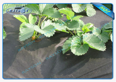 Water Permeable Garden Fabric Agriculture Non Woven Cover Weed Suppressant Membrane