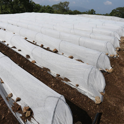 Non Woven Agricultural Weed Control Mat PP Spunbond Nonwoven Fabric With 3% UV