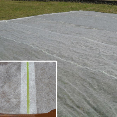 200gsm Spunbond Non Woven Fabric Agro Sheet Vegetable Freeze Protection For Outdoor Plant Cover